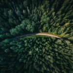 geran-de-klerk-qzgN45hseN0-unsplash